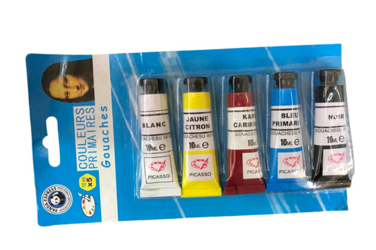 PANDA EXPRESS DAVINCCI GOUACH 10ML 5pcs صباغة بوماض