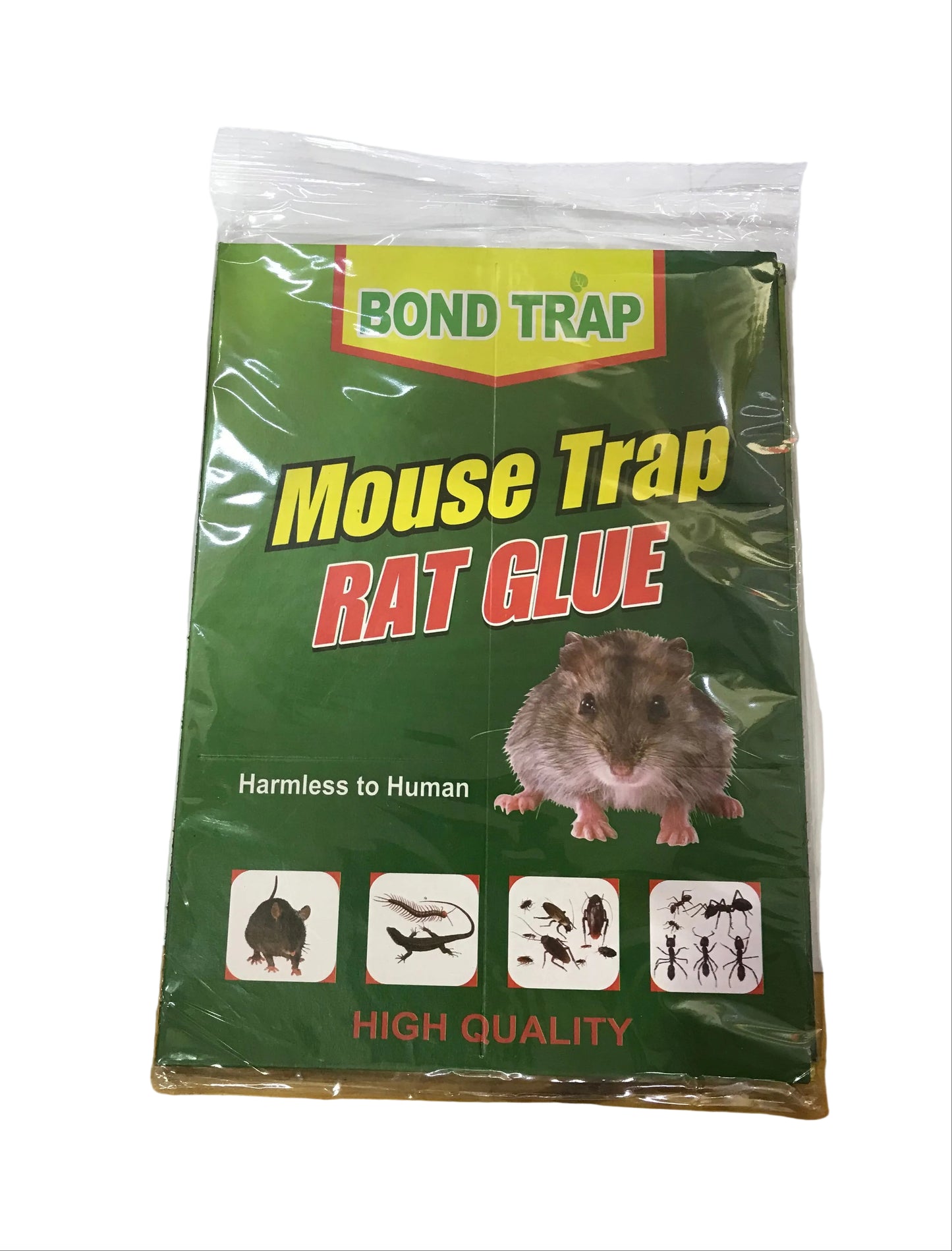 Mouse Trap RAT GLUE لصقة الفار