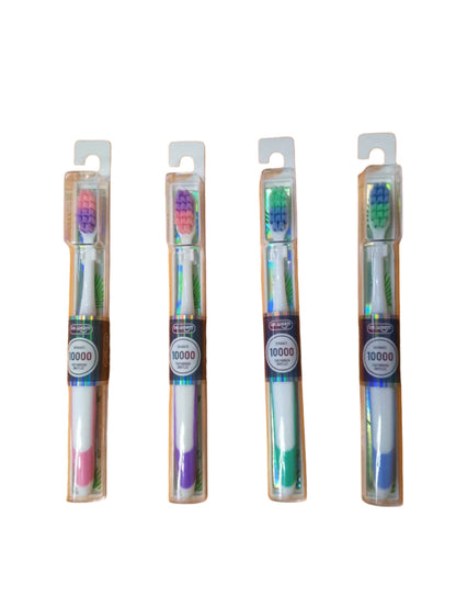DR.WARM BROSSE A DENTS  12unité  شية الاسنان